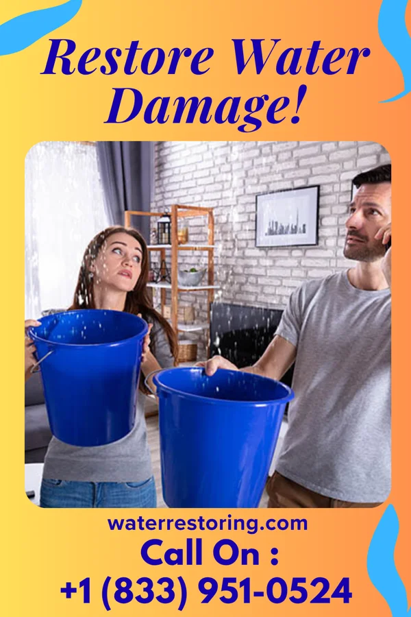 water restoration Elite Cleanup Contractors West Brow