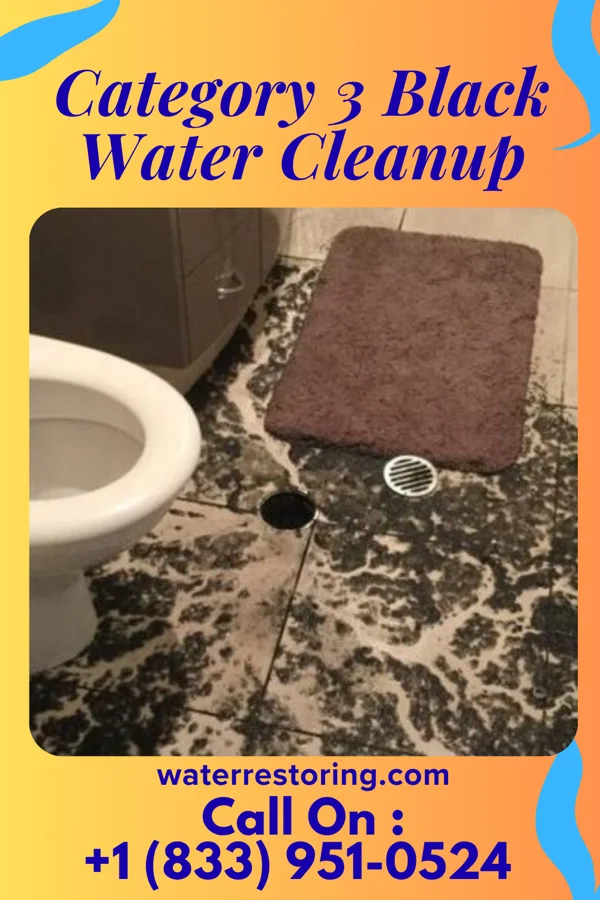 Category 3 Black Water Cleanup in West Brow, GA