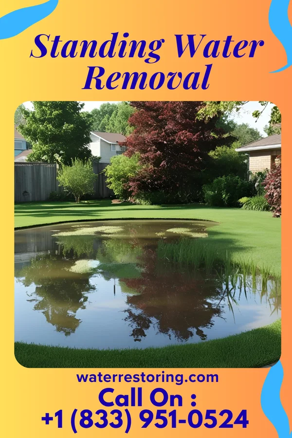 Standing Water Removal in West Brow, GA